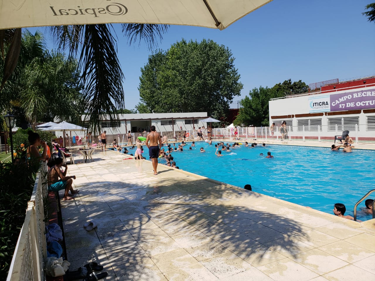 IMG-20190206-WA0001