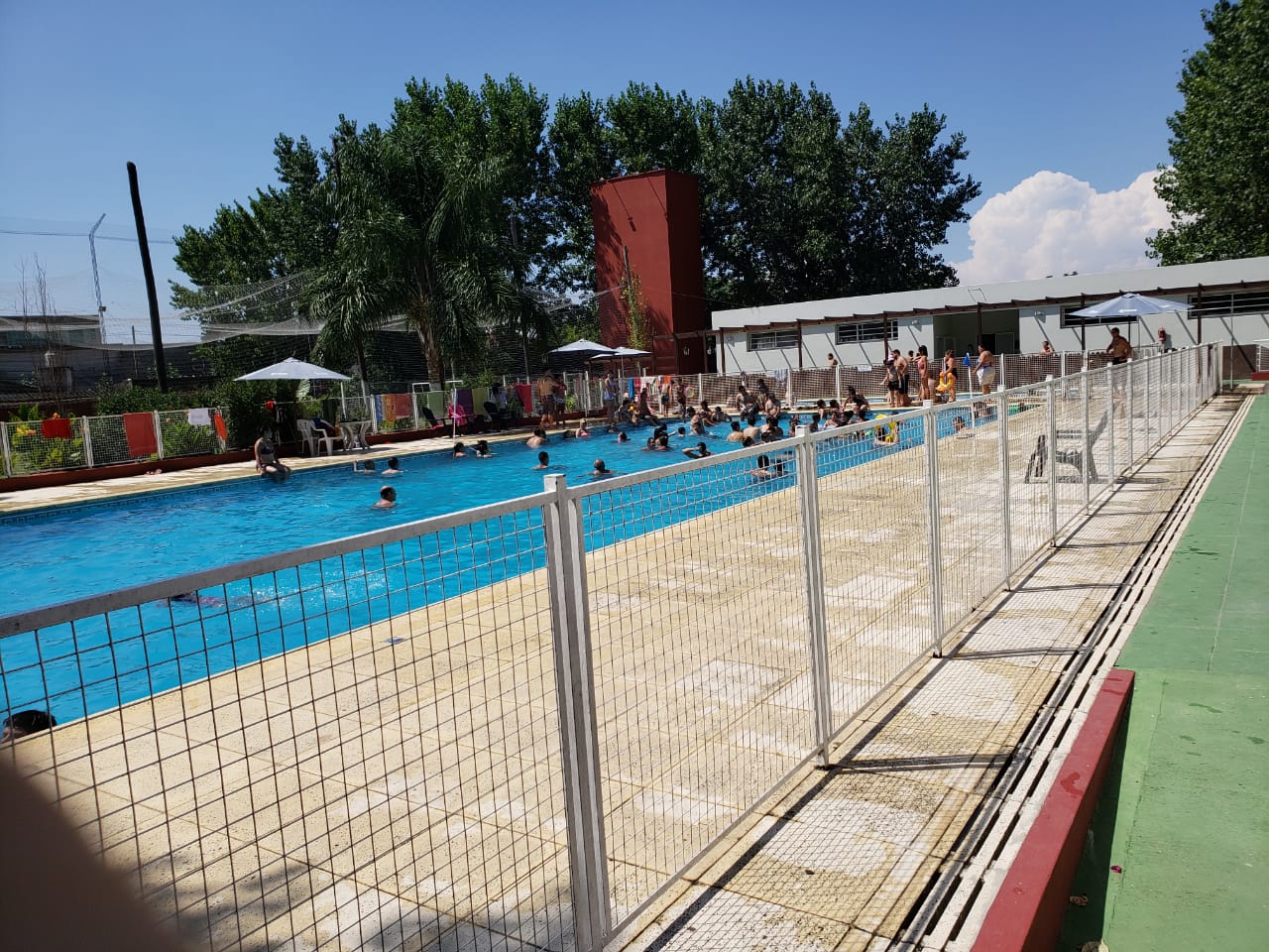IMG-20190206-WA0019