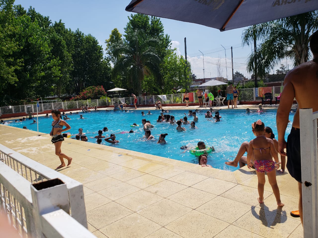 IMG-20190206-WA0020