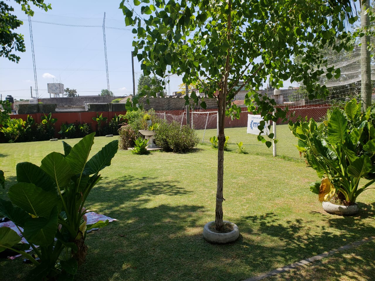 IMG-20190206-WA0027